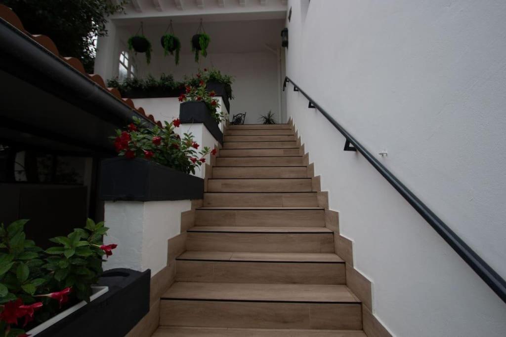 Appartement T3 En Villa Hendaye Dış mekan fotoğraf